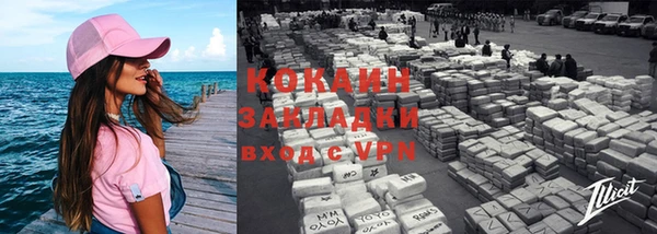 твердый Горняк
